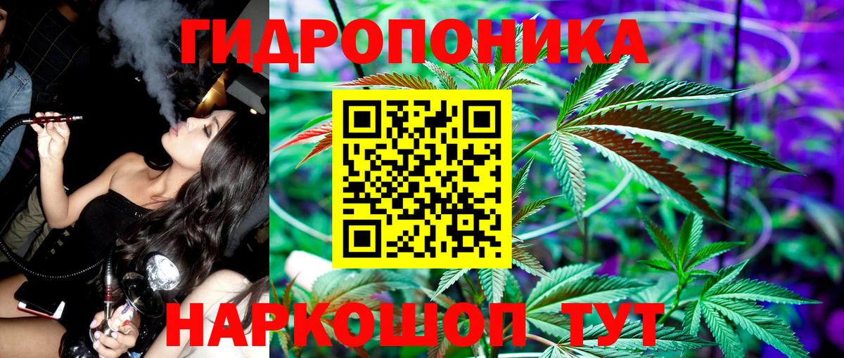 Каннабис Amnesia Усинск
